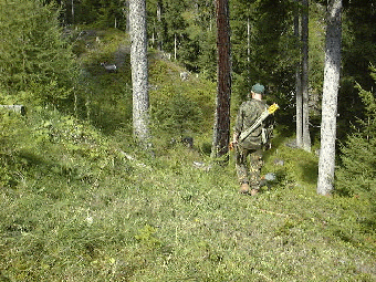 wenns03.gif (90646 Byte)