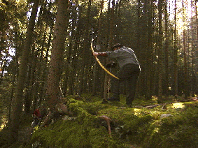 wenns04.gif (47674 Byte)