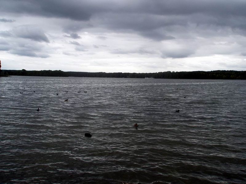 Blick auf den Scharmützelsee bei Bad Sarrow